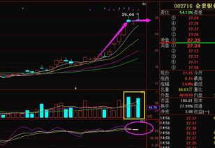 金贵银业002716利好消息促进 最佳买点已现