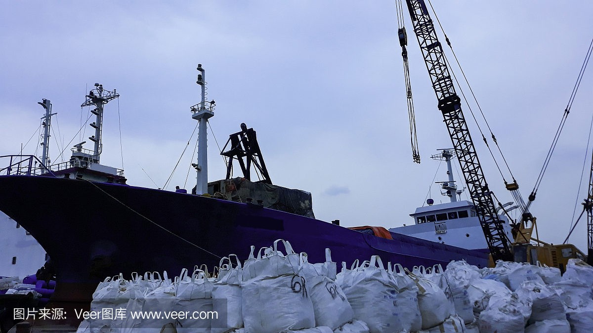 集装箱船舶从事进出口业务和物流。用起重机将货物送到港口。在巽他克拉帕港