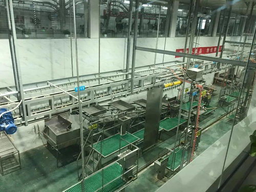 白土岗屠宰厂做好防疫检验工作 确保春节牛羊肉安全供应